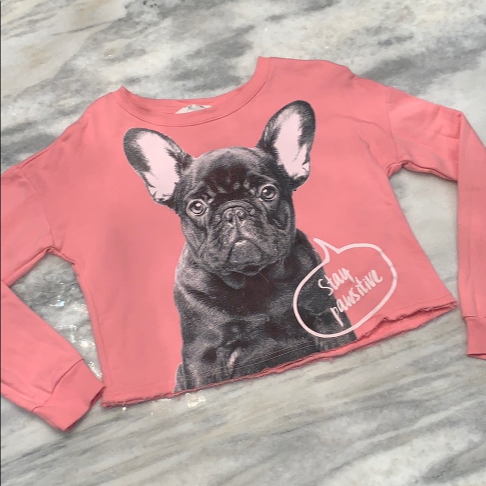 H&M “stay pawsitive” Frenchie sweatshirt